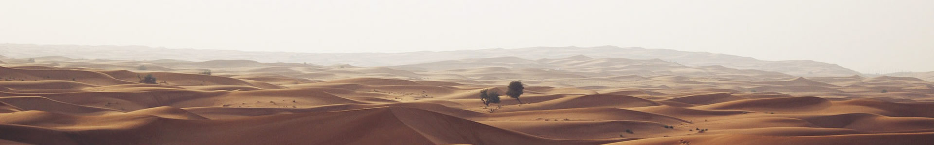 ɽлұƼչ޹˾